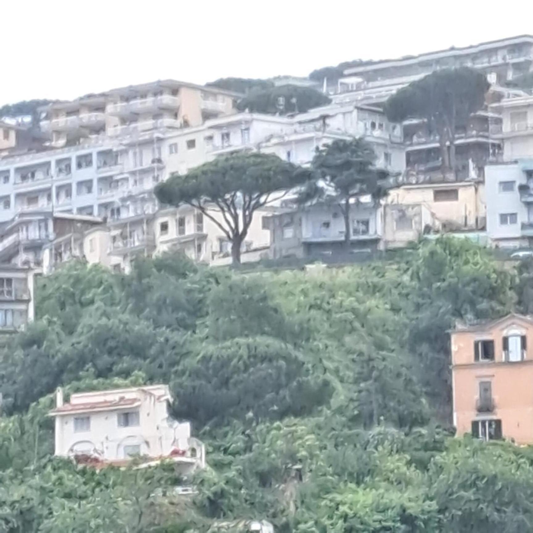 Domus Sirena Guest house Naples